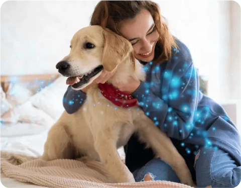 Feromoni appaganti canini CAP