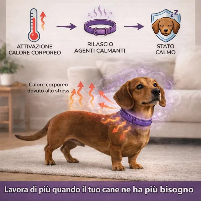 Il design del collare CalmiCollar