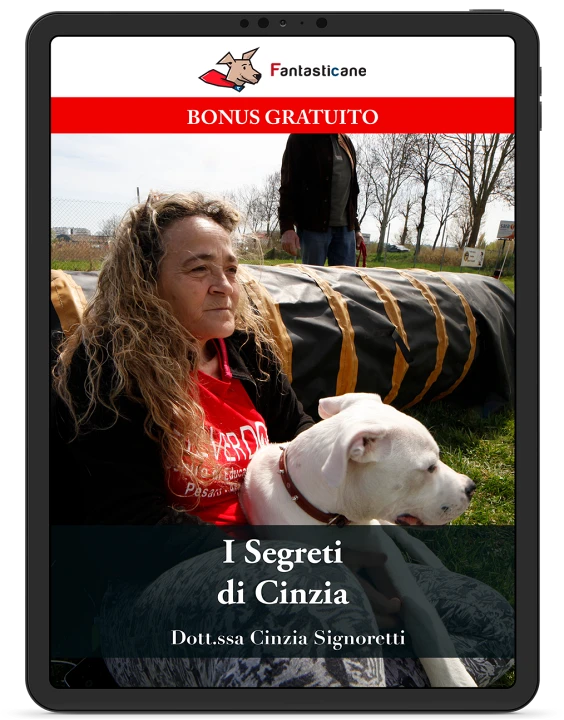 I SEGRETI DI CINZIA