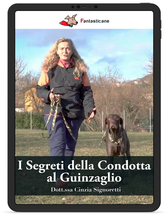 I segreti della condotta al guinzaglio