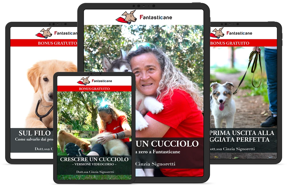 Il pacchetto completo con tutti i bonus inclusi