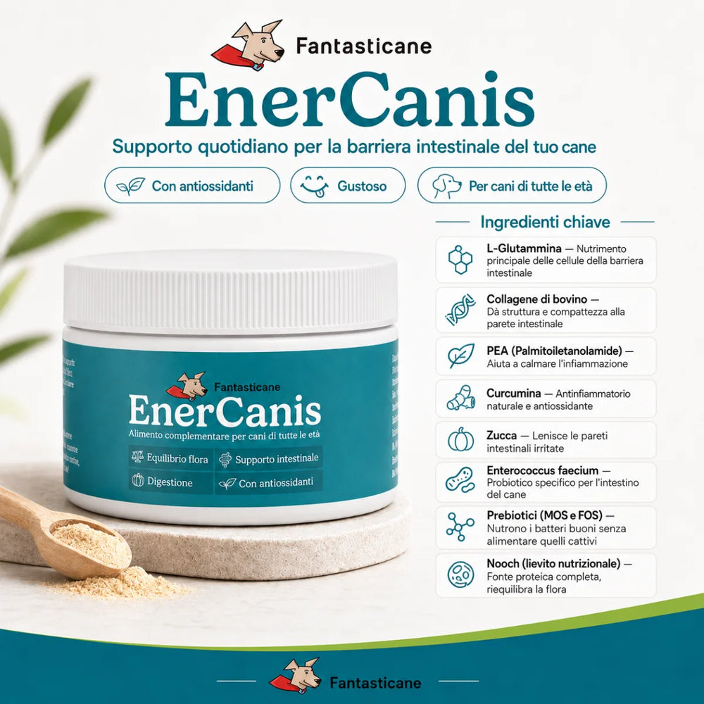 Enercanis 2.0 - 2