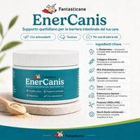 Enercanis 2.0 - 2