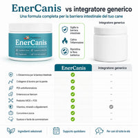 Enercanis 2.0 - 3