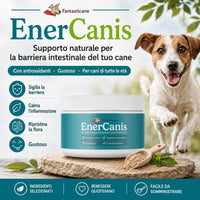 Enercanis 2.0 - 4