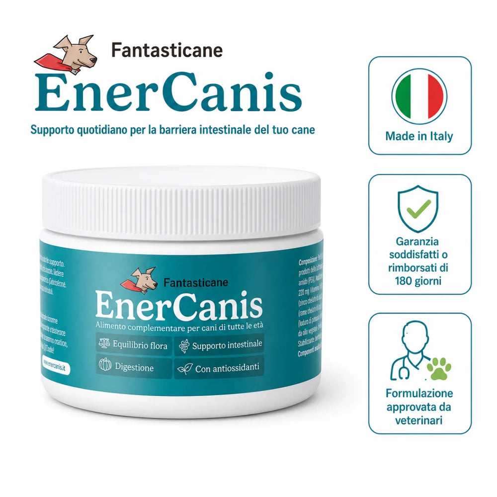 Enercanis 2.0 - 6