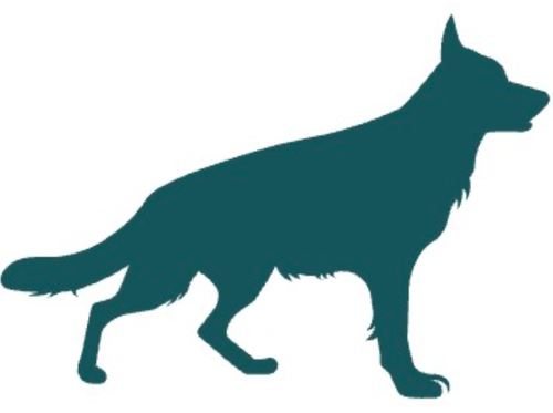 Cane di taglia grande, oltre 20 kg