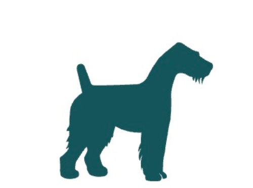 Cane di taglia media, da 10 a 20 kg
