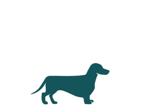 Cane di taglia piccola, fino a 10 kg