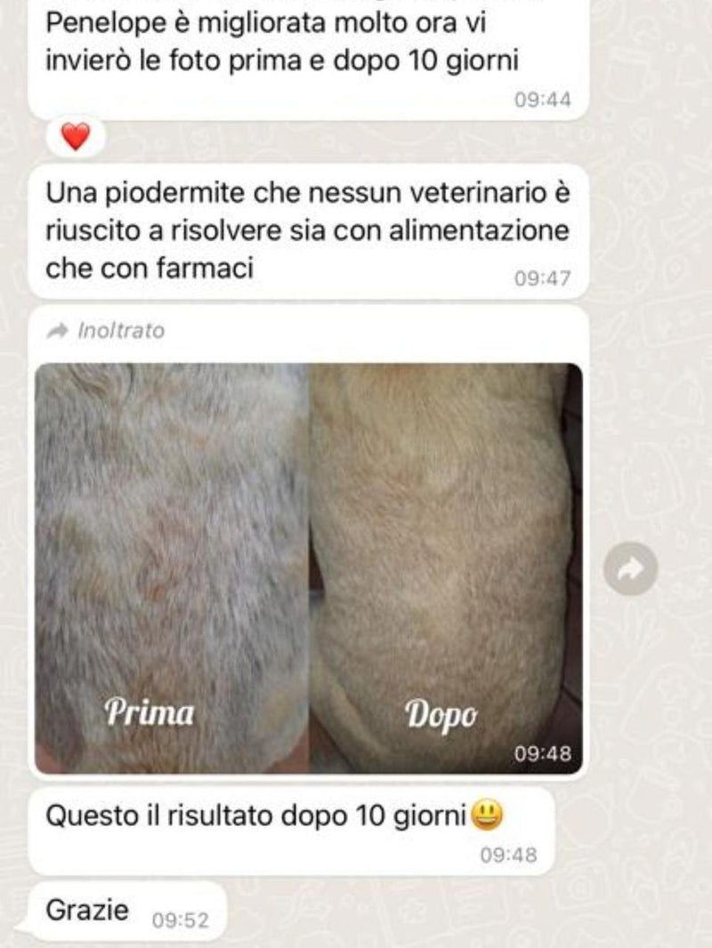 Testimonianza Penelope