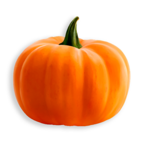 Zucca