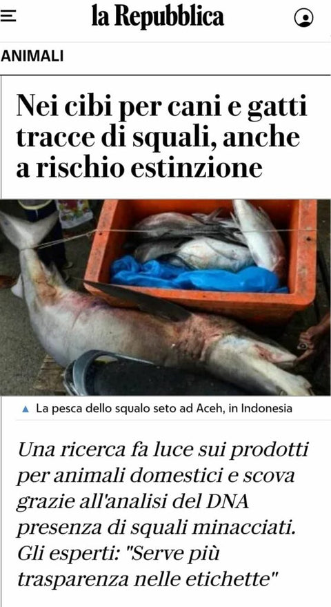 Sottoprodotti e derivati della carne