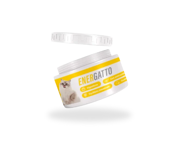 Energatto - 1