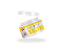 Energatto - 1