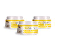 Energatto - 3