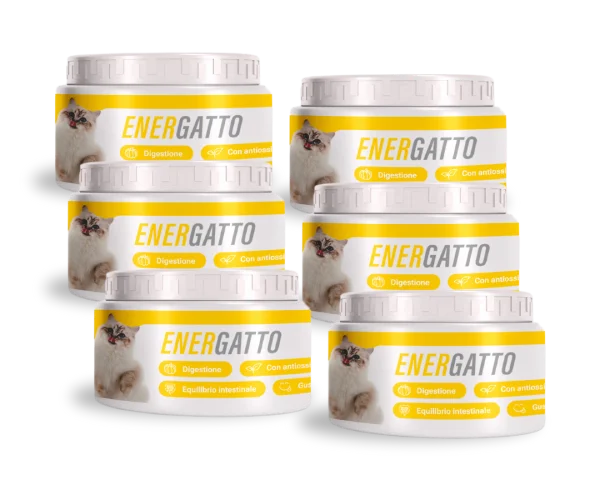 EnerGatto sei confezioni