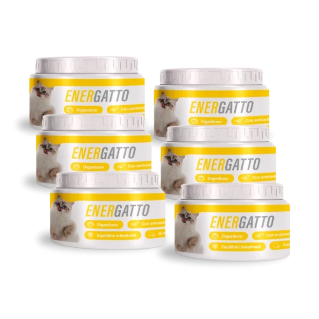 Energatto - 2