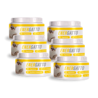 Energatto - 2