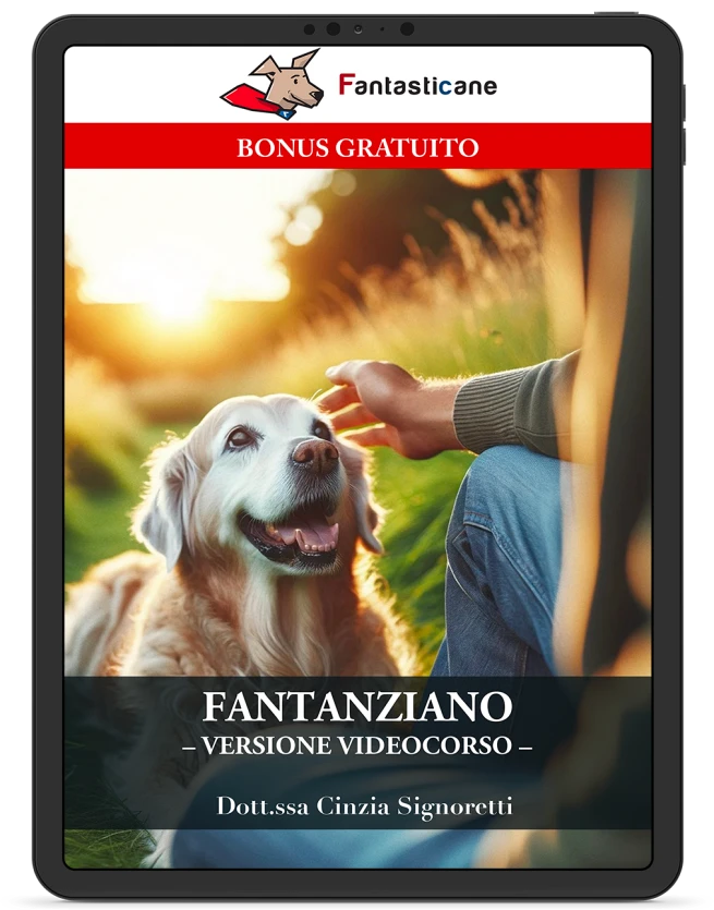 Edizione video di FANTANZIANO