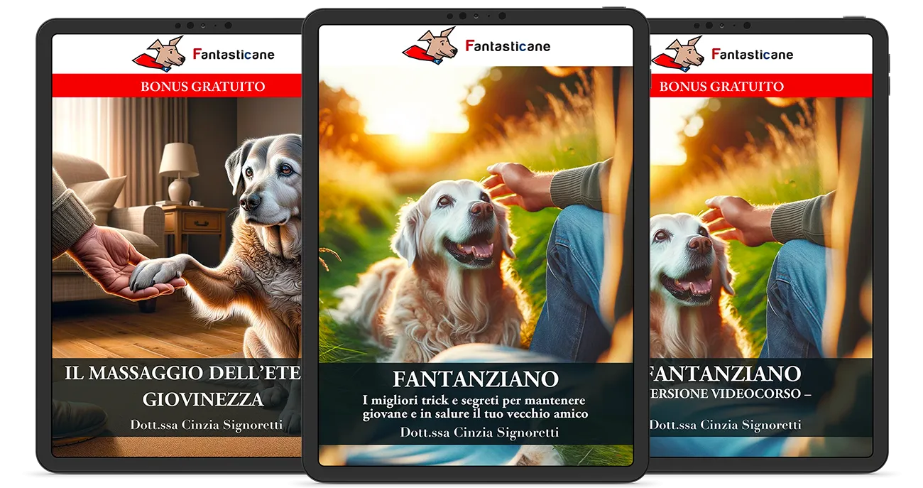 Il pacchetto completo con tutti i bonus inclusi