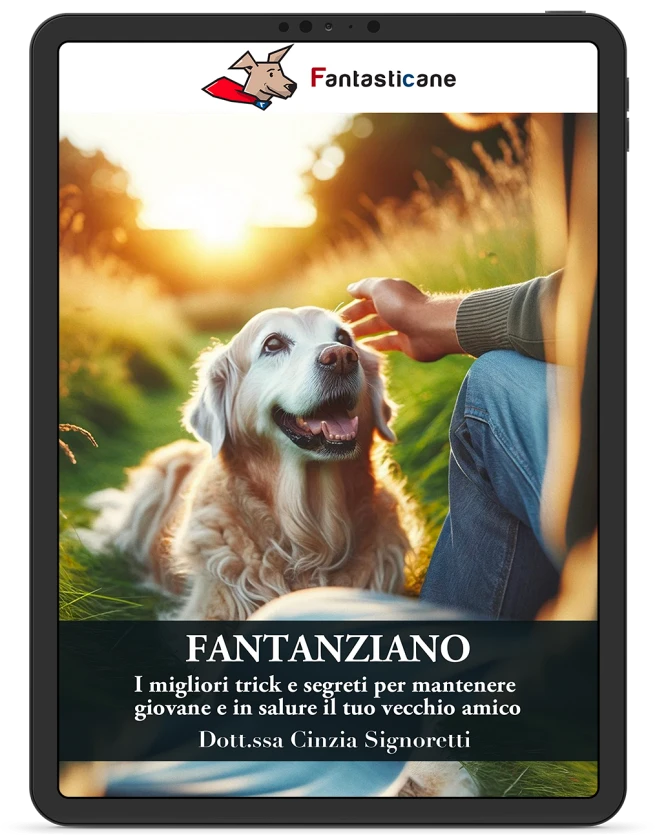 Fantanziano - 1
