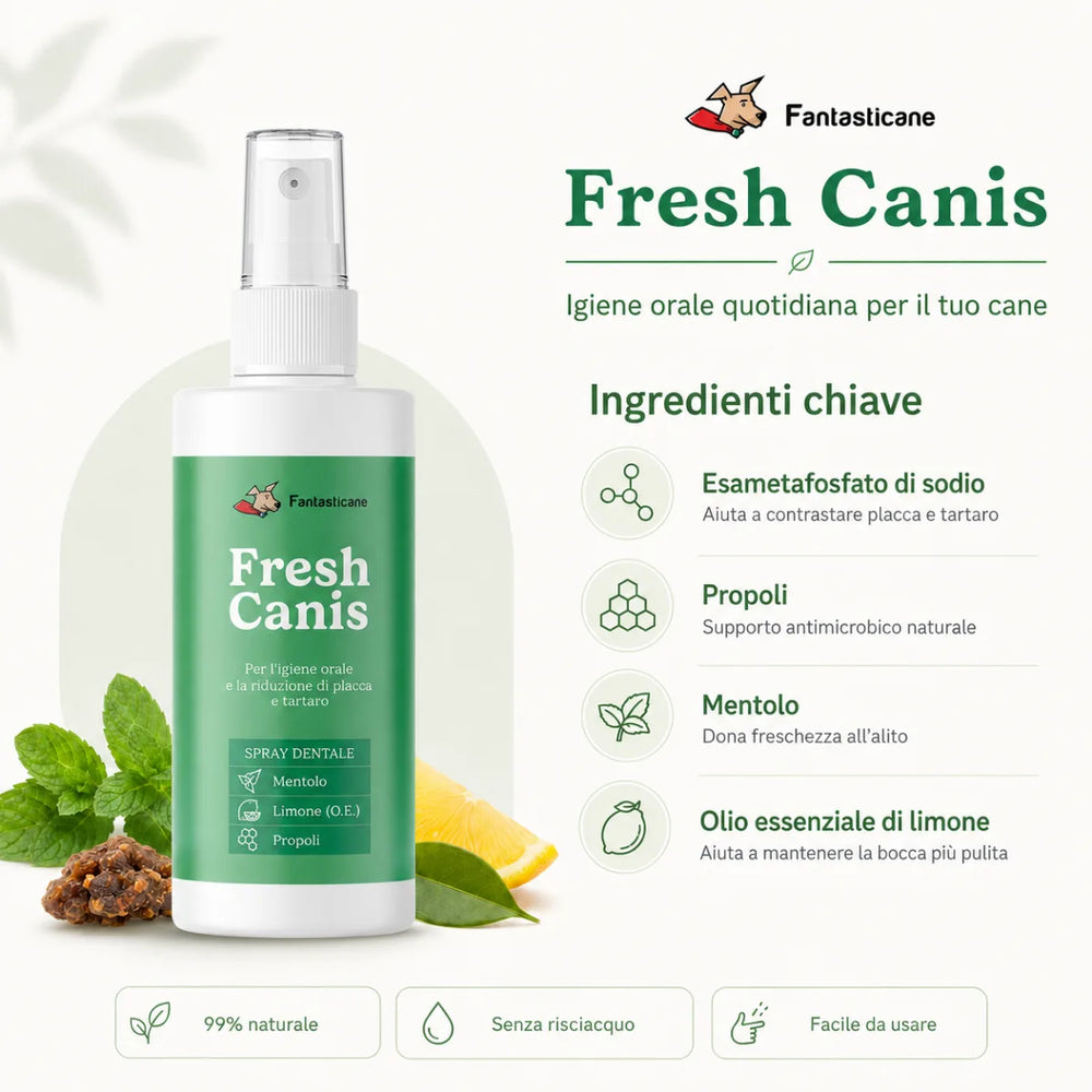 Freshcanis - 2