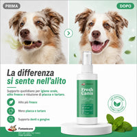 Freshcanis - 4