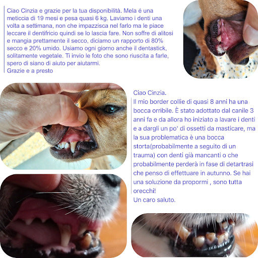 Altri messaggi di clienti sui problemi dentali