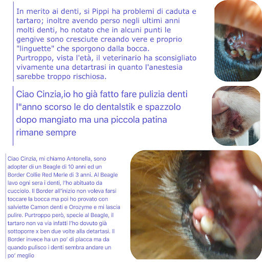 Messaggi di proprietari su tartaro e alitosi