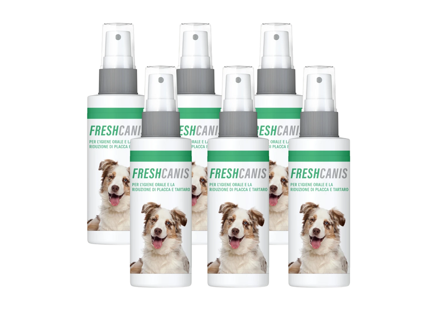 FreshCanis sei confezioni