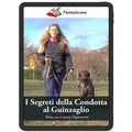I Segreti della condotta al guinzaglio