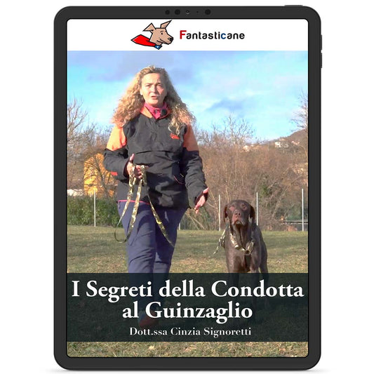 I Segreti della condotta al guinzaglio