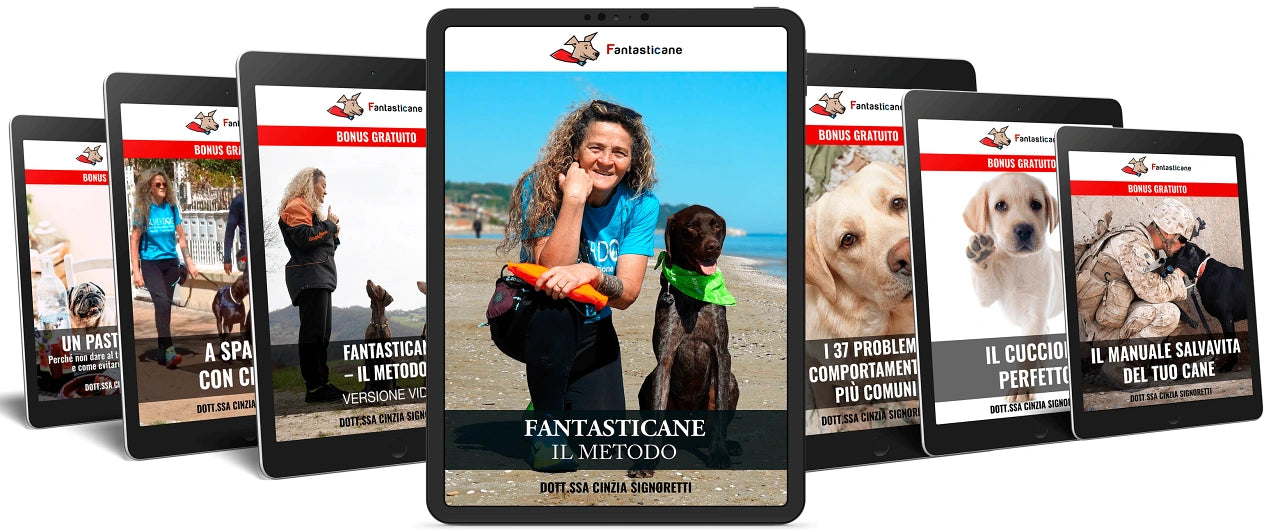 Il pacchetto completo con tutti i bonus inclusi
