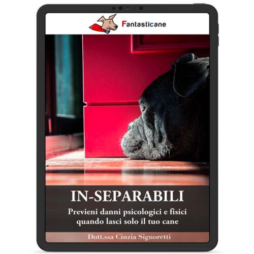 Inseparabili