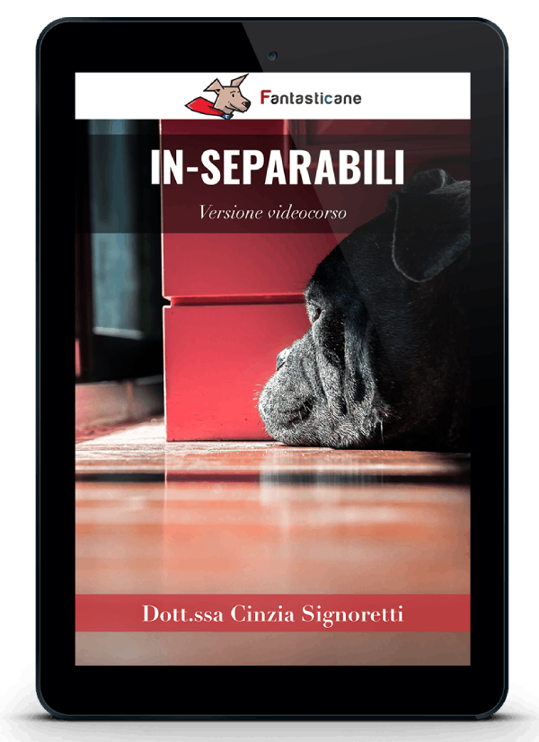 VERSIONE VIDEO DEL PROGRAMMA
