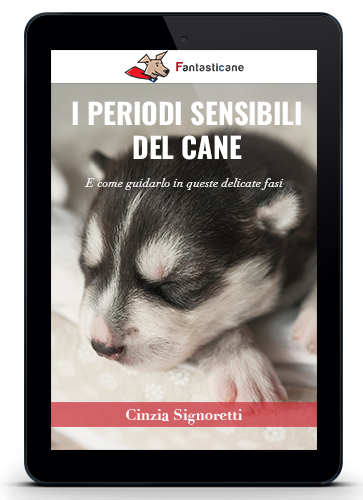 GUIDA ATTRAVERSO I PERIODI SENSIBILI DEL CANE