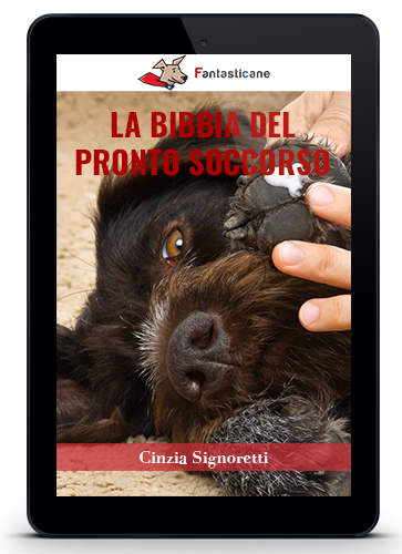 LA BIBBIA DEL PRONTO SOCCORSO
