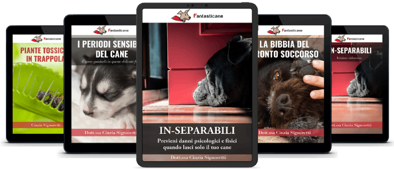 Il pacchetto completo con tutti i bonus inclusi