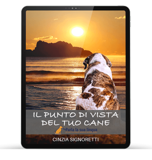 Il punto di vista del tuo cane