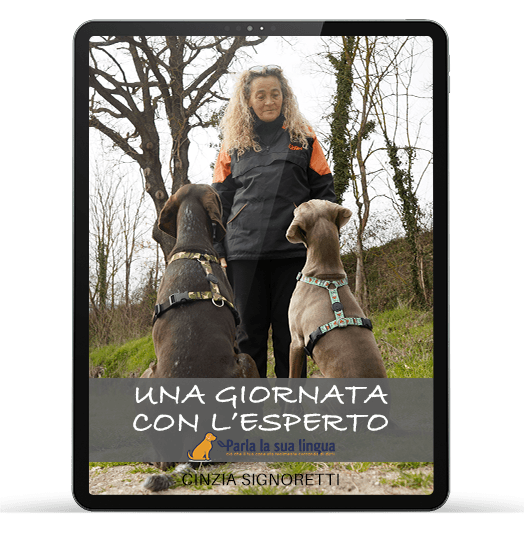 Cinzia e il linguaggio dei cani