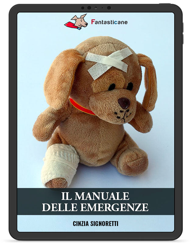 Il manuale delle emergenze