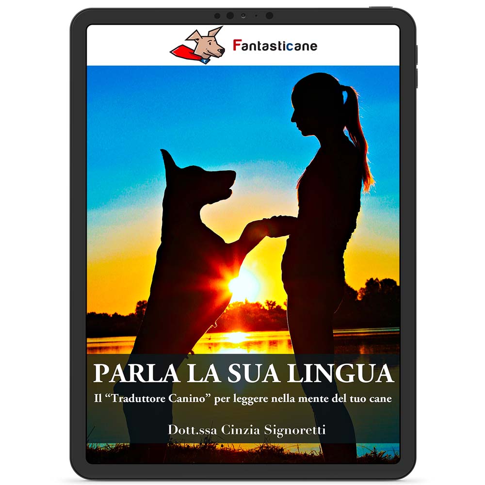 Parla la sua lingua