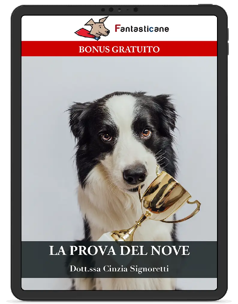 “La prova del nove”