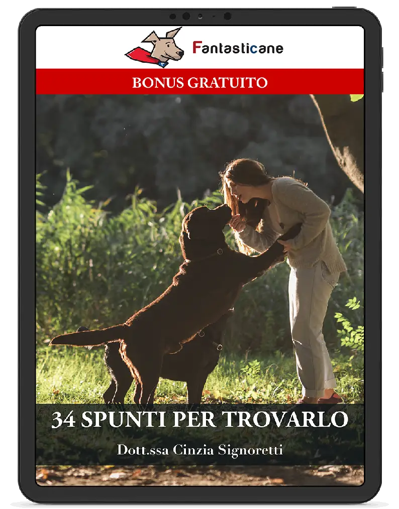 34 spunti diversi per farlo venire da te
