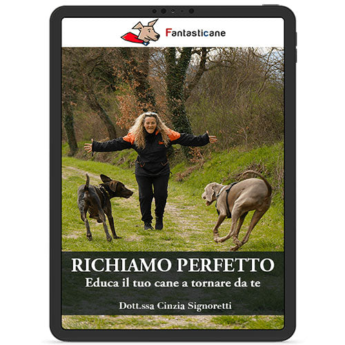 Il Richiamo Perfetto