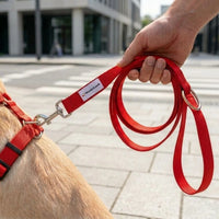Guinzaglio WonderLeash - 7