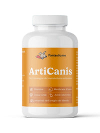 Articanis - 1