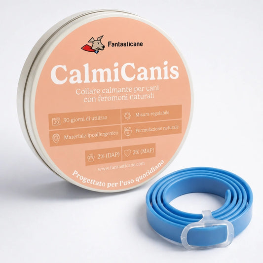 CalmiCanis