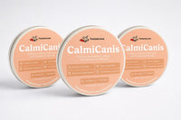 CalmiCanis - 4