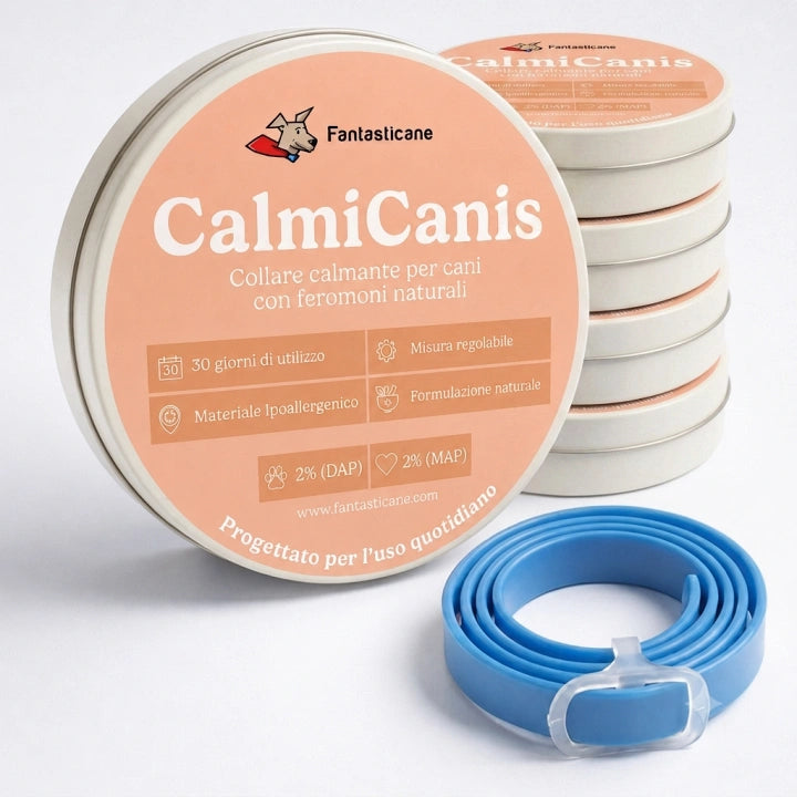 CalmiCanis - 3